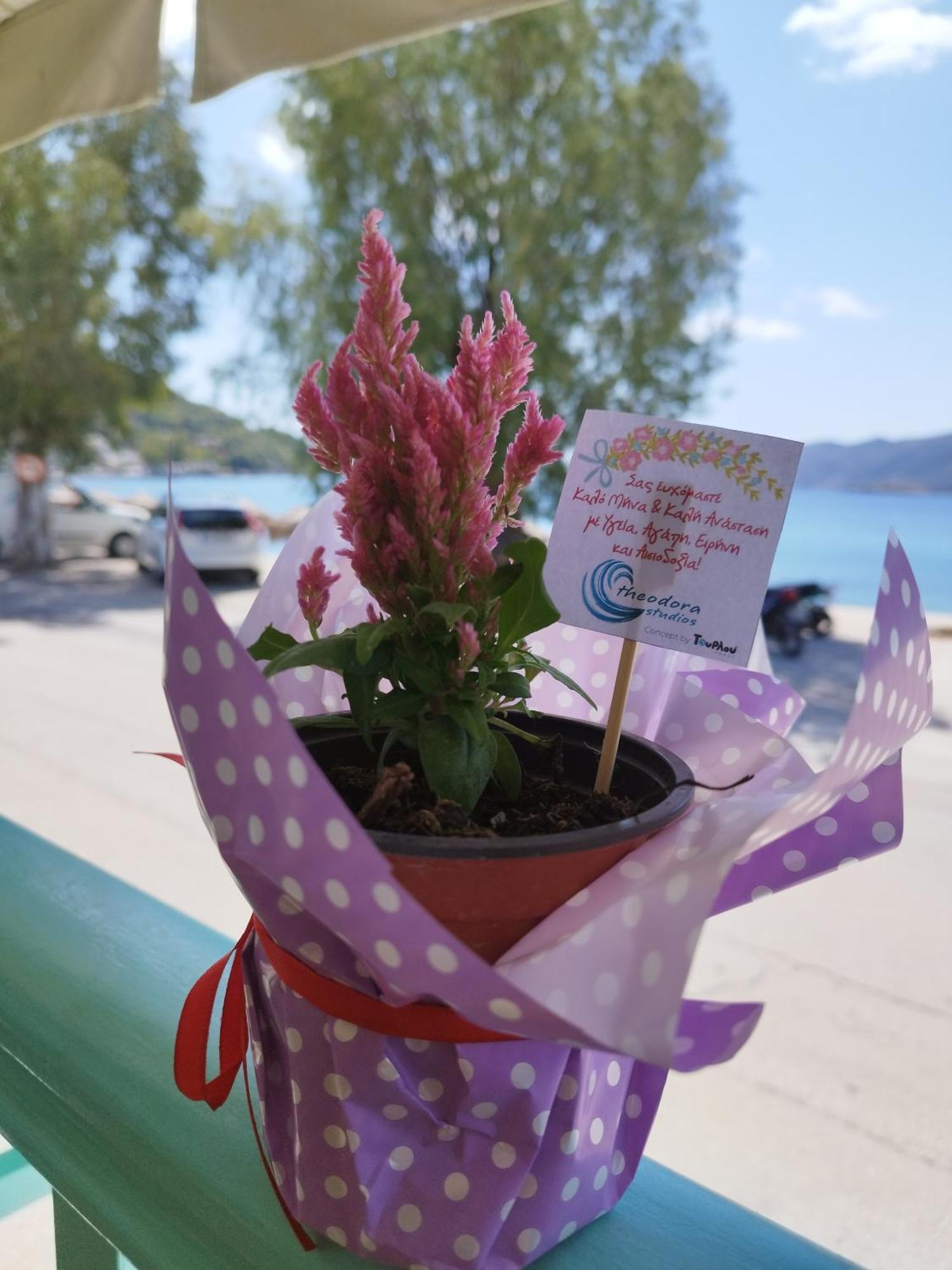 Theodora Rooms Poros Town Bagian luar foto